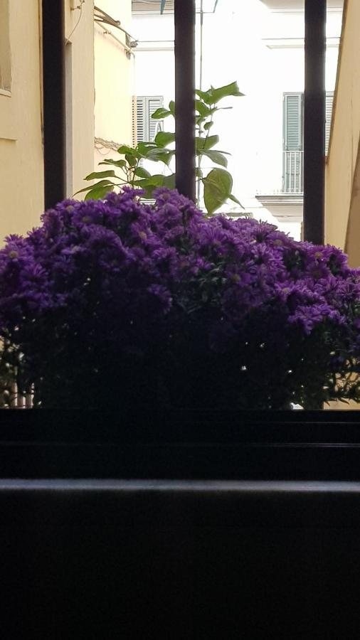 스카파티 Il Giardino Sul Corso 아파트 외부 사진