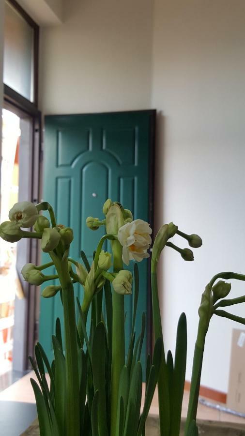 스카파티 Il Giardino Sul Corso 아파트 외부 사진