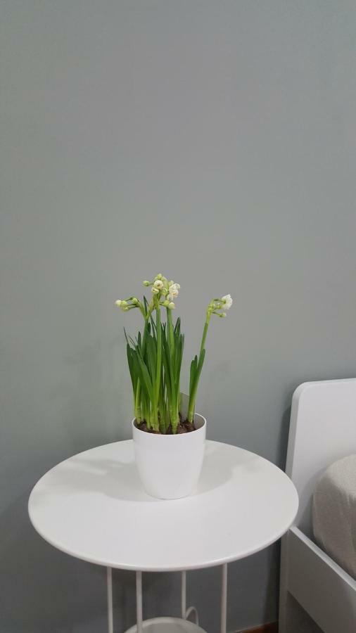 스카파티 Il Giardino Sul Corso 아파트 외부 사진